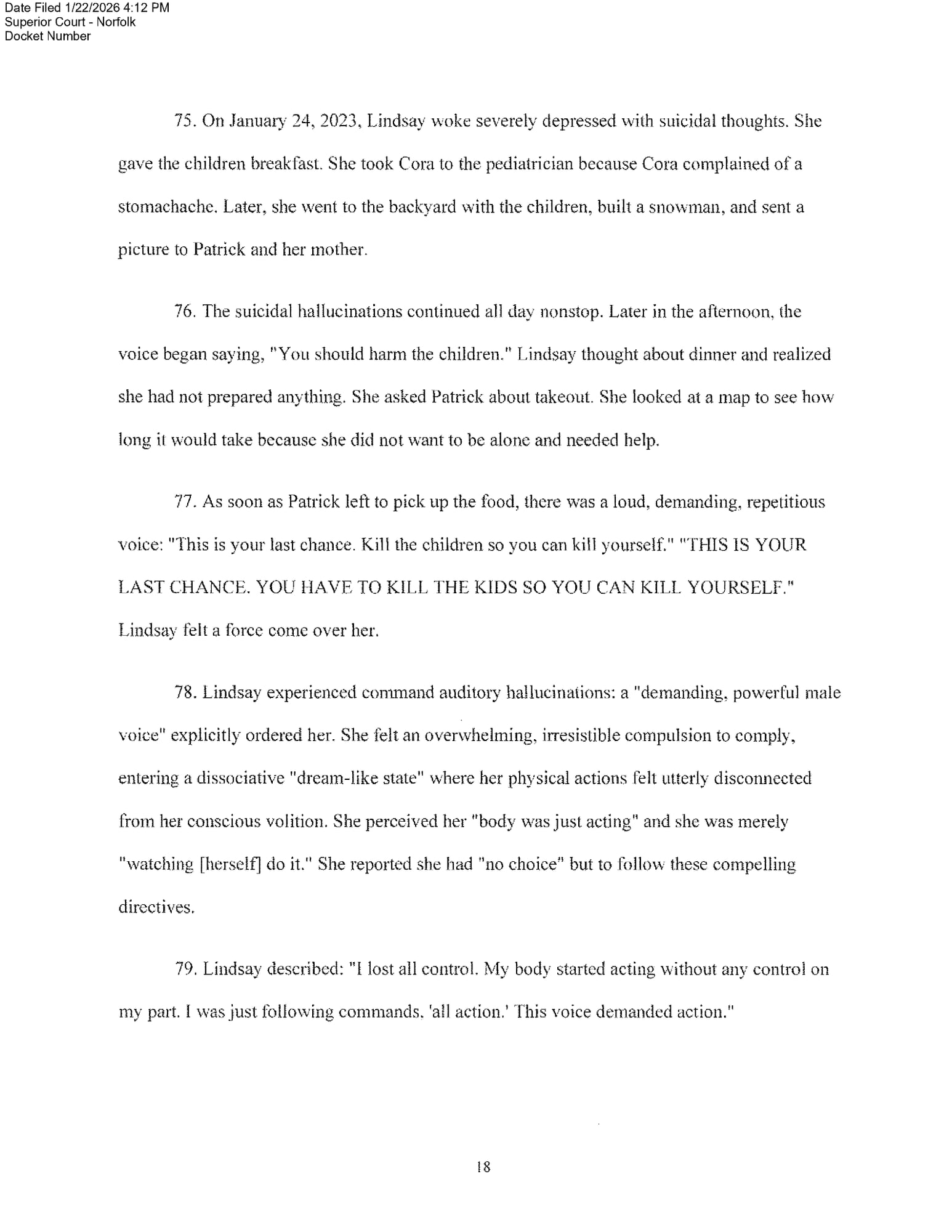 Page 18 of 28 of the complaint
